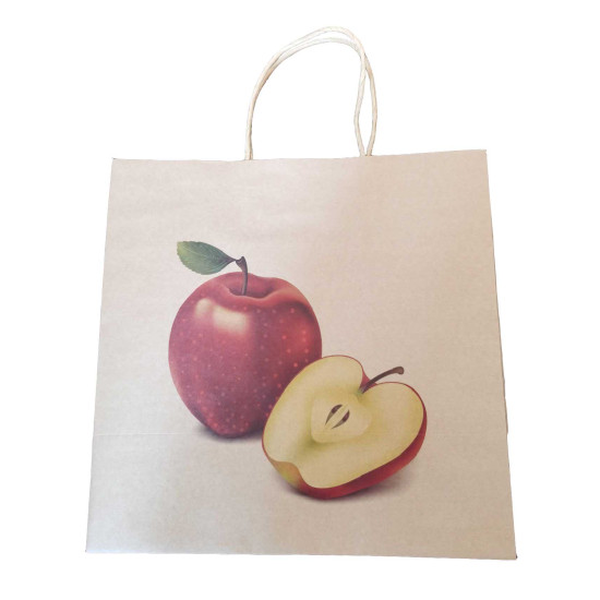 #SPP-301630 SAC PAPIER POMME 20 LB BRUN <br>30.48X16.51X30.18CM